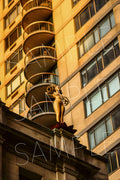 The Golden Lady